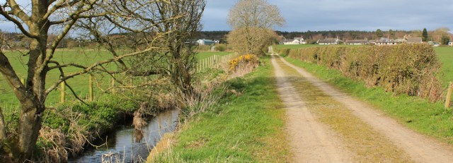 41 path to Clarencefield, Ruth's coastal walk, Dumfries and Galloway