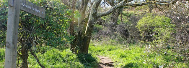 a05 coastal footpath up hill from Sandyhills, Ruth's coastal walk, Scotland