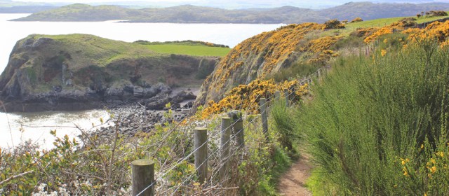 a17 Ruth hiking to Castlehill Point, Scotland