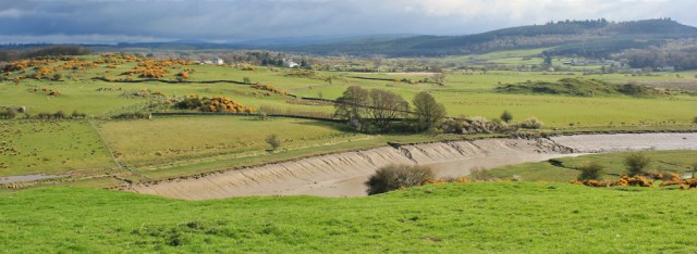 02 view over Dalbeattie forest, Ruth hiking in Dumfries and Galloway