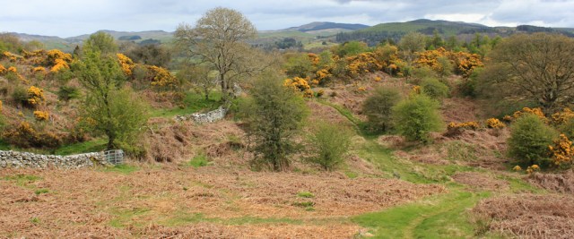 04 footpath up Venniehill, Ruth hiking in Scotland