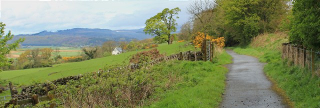 04 lovely cycle path from Creetown to Newton Stewart, Ruth Livingstone