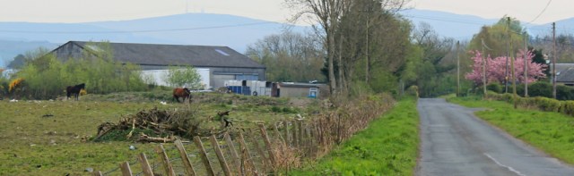 07 equestrian centre, Ruth hiking to Wigtown, The Machars, Scotland
