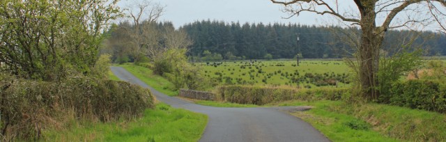 08 spooky wood, Moss of Cree, Ruth hiking to Wigtown, The Machars, Scotland