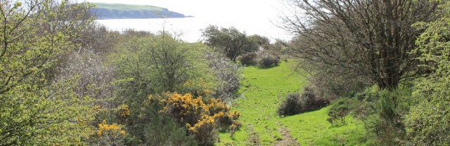 08 Torr Hill, Ruth's coast walk, Dumfries and Galloway