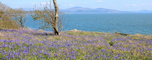 09 Cruggleton, Ruth walking the coast of Scotland