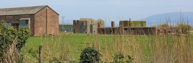 11 Baldoon Airfield, 02 naughty goats, Ruth's coastal walk, Southwest Scotland