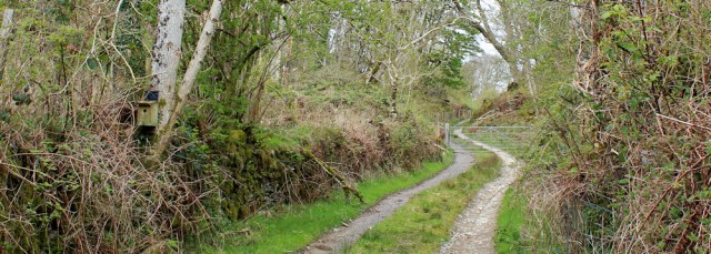 11 old military road, Anwoth, Ruth hiking in Scotland
