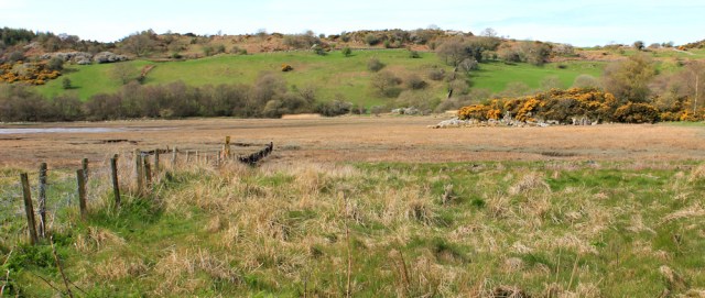 12 across edge of marsh to Castle Hill, Ruth hiking in Dumfries and Galloway