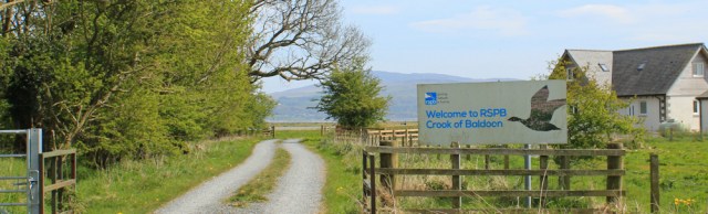 12 RSPB Crook of Baldoon, 02 naughty goats, Ruth's coastal walk, Southwest Scotland