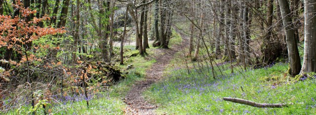13 forest path, Milton Sands, Ruth walking the coast of Dumfries and Galloway