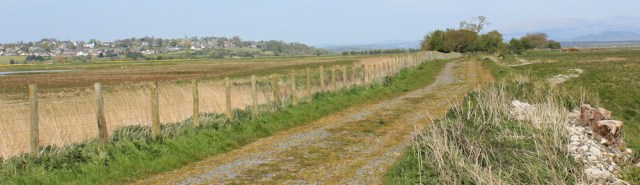 13 no way to Wigtown, 02 naughty goats, Ruth's coastal walk, Southwest Scotland