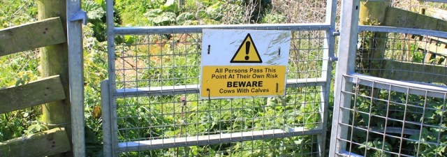13 warning sign, cows on the Core Path, Ruth Livingstone