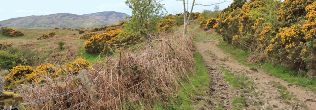 14 Kirkbride Hill, Ruth hiking from Gatehouse of Fleet to Newton Stewart