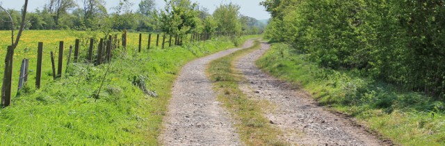 15 core path to Balfern, 02 naughty goats, Ruth's coastal walk, Southwest Scotland