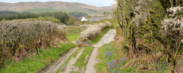 15 Old Military Road, Ruth hiking in Scotland, Kirkbride Hill