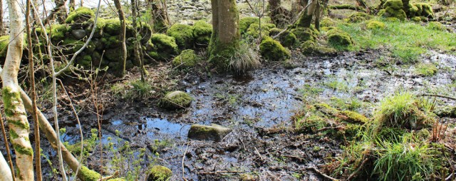 15 river across path, Ruth walking in Dumfries and Galloway