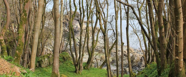 16 Senwick Wood, Ruth walking the coast of Dumfries and Galloway