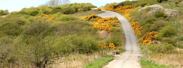 16 up Silver Hill, MOD ranges, Ruth hiking to Kirkcudbright