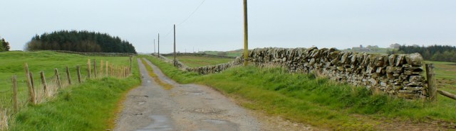 17 road walking, Ruth walking the coast of Scotland to Gatehouse of Fleet