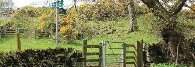 19 Senwick, Ruth hiking near Kirkcudbright, Scotland