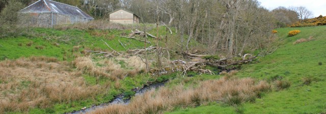 21 Balmae, Ruth walking the coast to Kirkcudbright