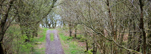 21 Gibb's Hole Wood, Ruth walking to Almorness Point
