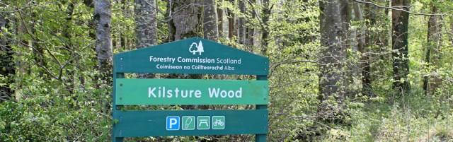 21 Kilsture Wood, Ruth's coastal walk, Dumfries and Galloway, Scotland