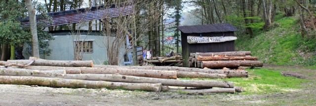 22 firewood, Ruth walking the coast of Scotland to Gatehouse of Fleet