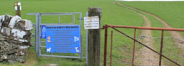 24 advice for dog owners, Ross Bay, Ruth walking the coast of Dumfries and Galloway