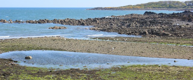 24 hugging the coast, Ruth walking to Portyerrock, Scotland