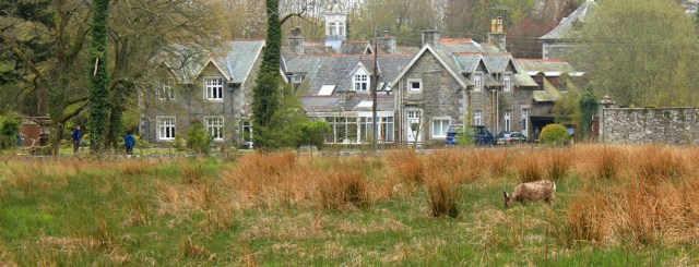 24 Knockbrex and deer, Ruth walking the coast of Scotland to Gatehouse of Fleet