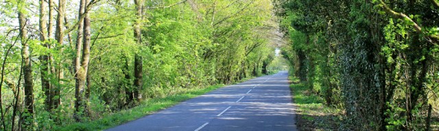 25 B7004 to Garlieston, Ruth's coastal walk, Dumfries and Galloway, Scotland