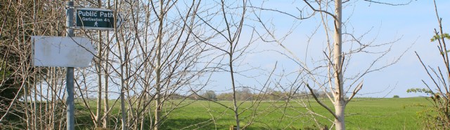 26 Public path along Wigtown Bay to Garlieston, Ruth's coastal walk, Dumfries and Galloway, Scotland