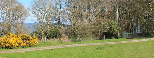 27 path to Balcary Point, Ruth's coast walk, Dumfries and Galloway