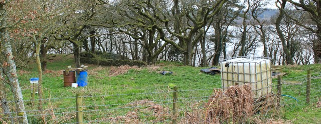27 pheasant rearing, Ruth hiking in Dumfries and Galloway