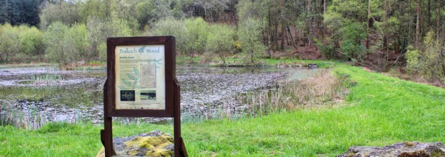 28 Balloch Wood, Ruth walking to Newton Stewart, Scotland