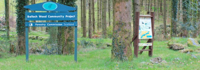 29 Balloch Wood Community Project, Ruth Livingstone in Scotland