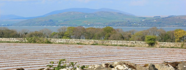 29 looking over Wigtown Bay, Ruth's coastal walk, Dumfries and Galloway, Scotland