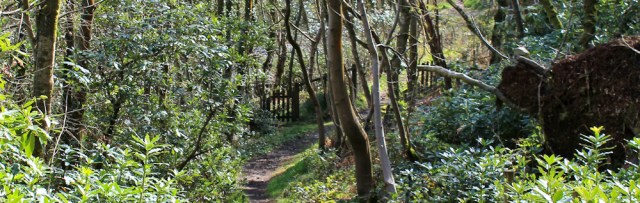 29 woodland walk, Ruth's coast walk, Dumfries and Galloway