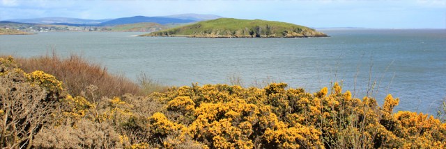 30 view back to Southerness, Ruth's coast walk, Dumfries and Galloway