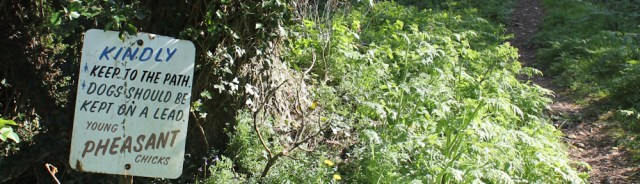 31 polite sign, Ruth's coastal walk, Dumfries and Galloway, Scotland