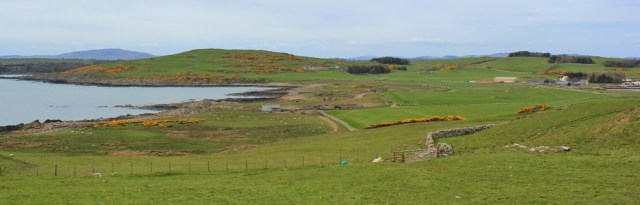 32 The Fauldbog, near Ross Bay, Ruth walking the coast of Dumfries and Galloway
