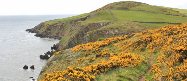 32 view from Balcary Hill, Ruth's coast walk, Dumfries and Galloway