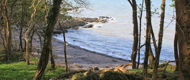 33 shore walk through woods to Garlieston, RUth Livingstone in Scotland