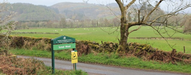 35 Screel Wood, Ruth hiking in Dumfries and Galloway