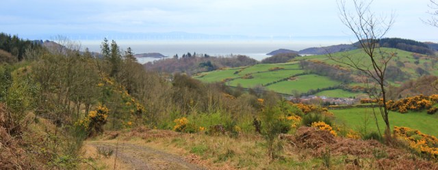 36 Kirkennan Plantation, Ruth's coastal walk, Dalbeattie, Scotland