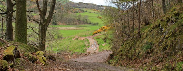 37 coming down Kirkennan Hill, Ruth's coastal walk, Dalbeattie, Scotland