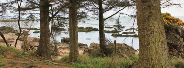 38 Rascarrel Moss, Ruth's coast walk, Dumfries and Galloway