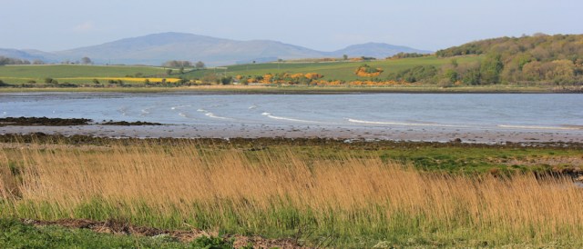 41 Garlieston Bay, Ruth's coastal walk, Galloway, Scotland